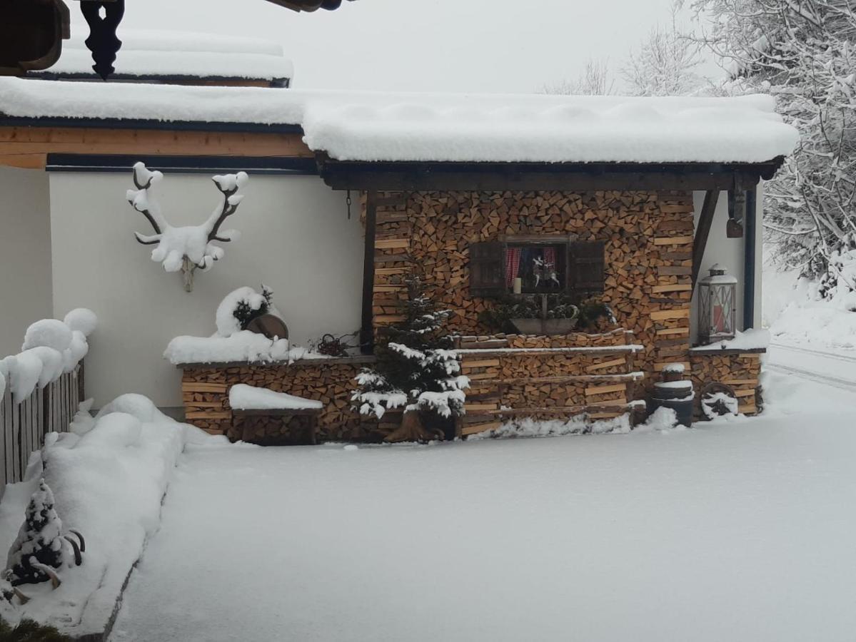 Haus Wildschuetz Apartment Hippach Luaran gambar