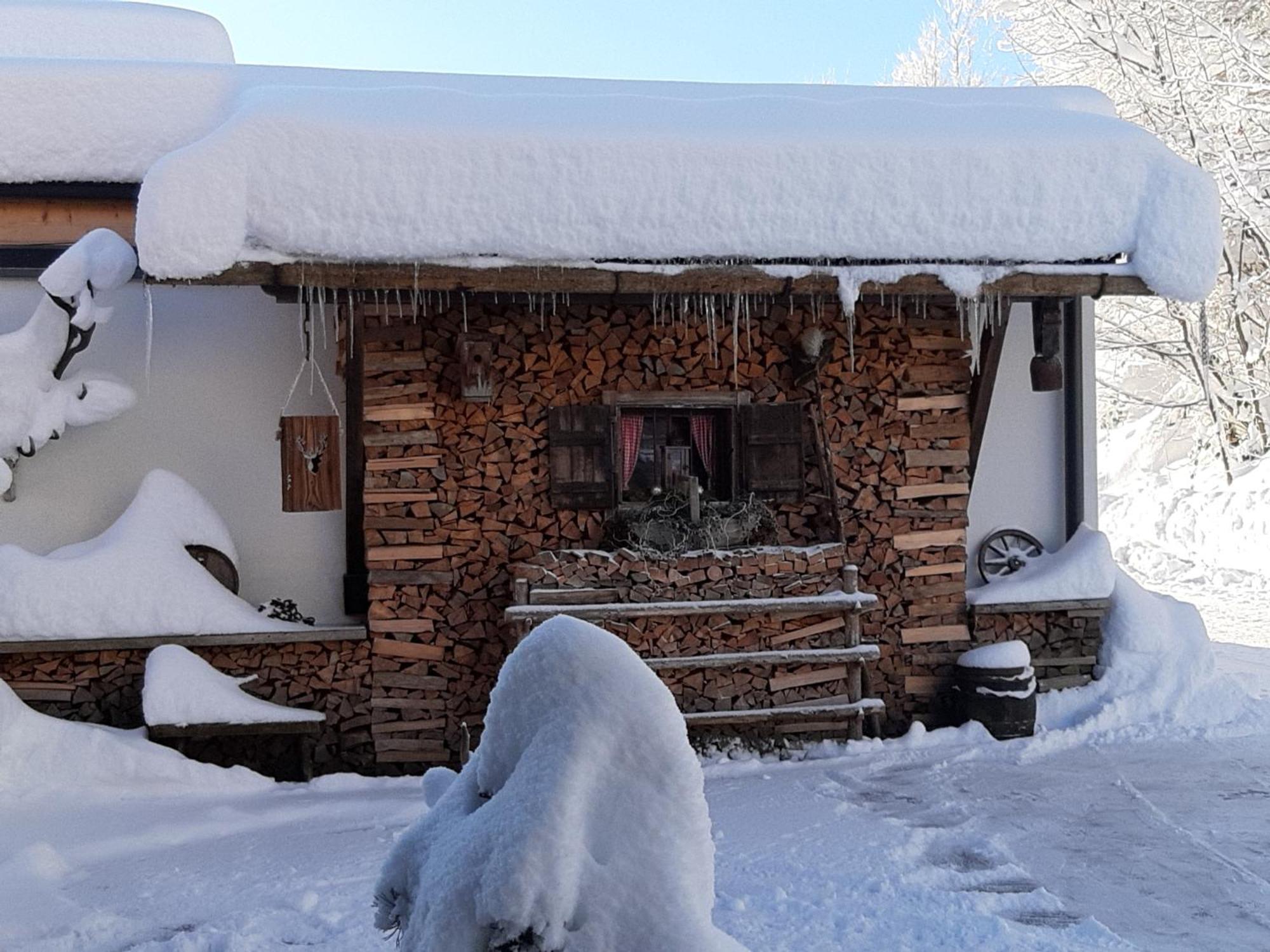 Haus Wildschuetz Apartment Hippach Luaran gambar